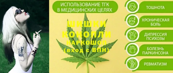 шишки Богородицк